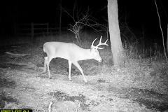 TRAIL-CAMERA-103