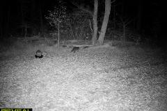 TRAIL-CAMERA-112