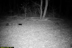 TRAIL-CAMERA-125