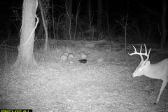 TRAIL-CAMERA-127