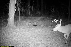 TRAIL-CAMERA-128