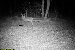 TRAIL-CAMERA-140