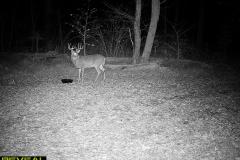 TRAIL-CAMERA-141