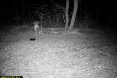 TRAIL-CAMERA-145