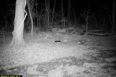 TRAIL-CAMERA-158