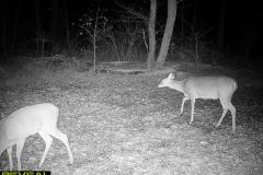 TRAIL-CAMERA-159