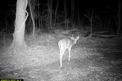 TRAIL-CAMERA-160