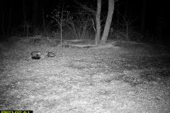 TRAIL-CAMERA-168