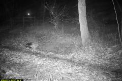 TRAIL-CAMERA-169