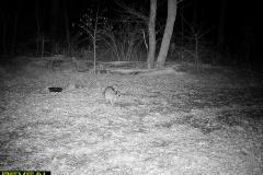 TRAIL-CAMERA-170