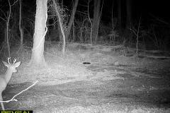 TRAIL-CAMERA-225