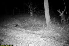 TRAIL-CAMERA-47