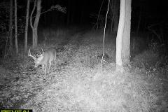 TRAIL-CAMERA-50