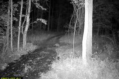 TRAIL-CAMERA-52