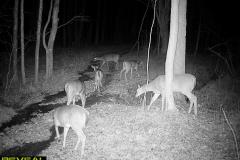 TRAIL-CAMERA-60